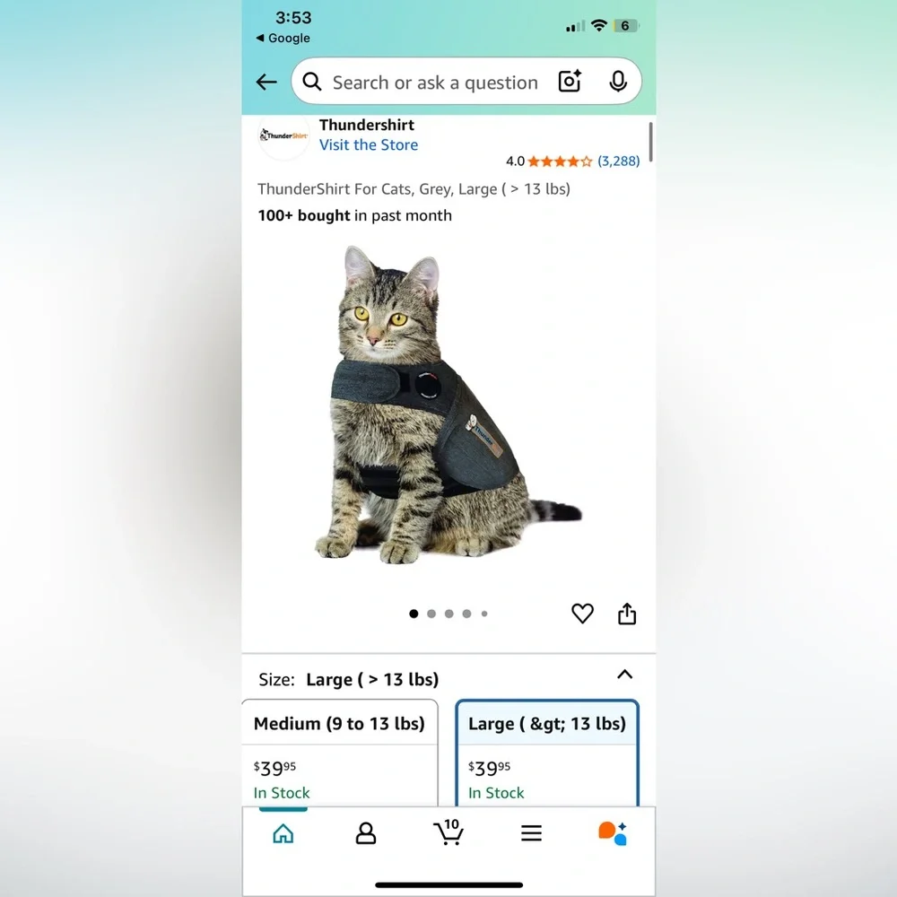 Cat Thunder Shirt